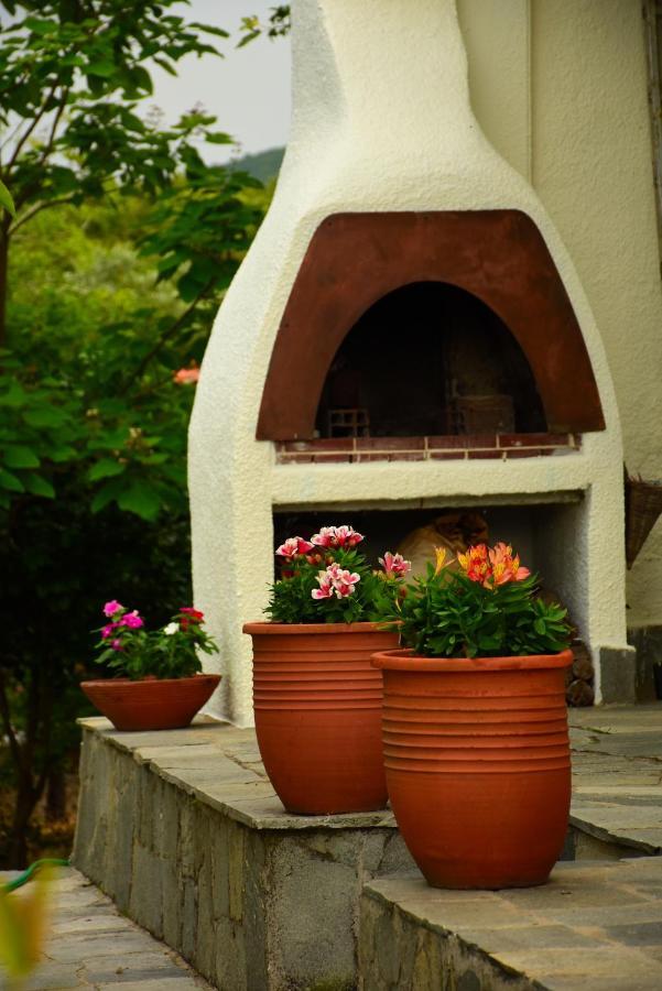 Villa Monte Kariotes Samothráki Exterior foto